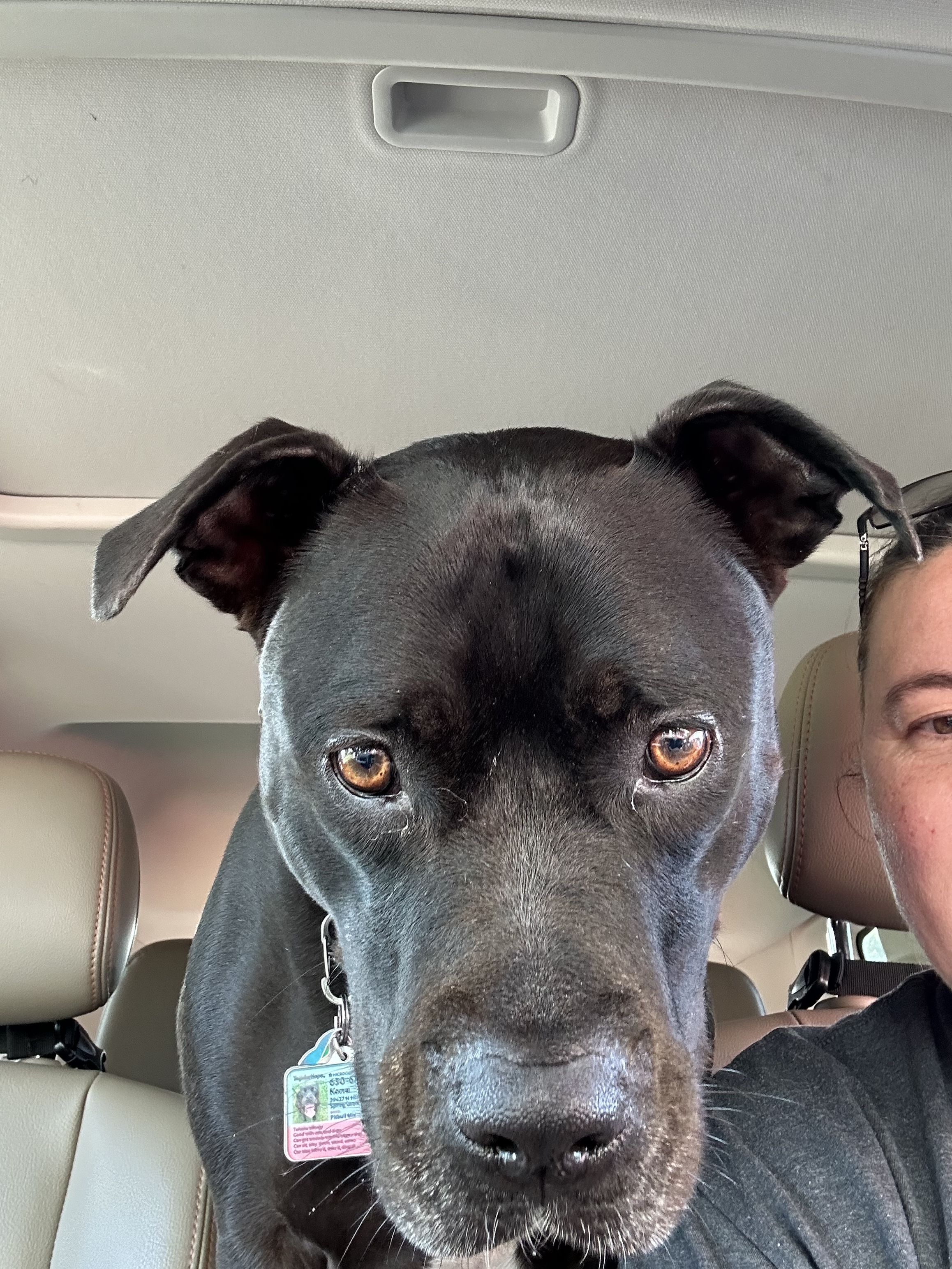 Korra stares into your soul