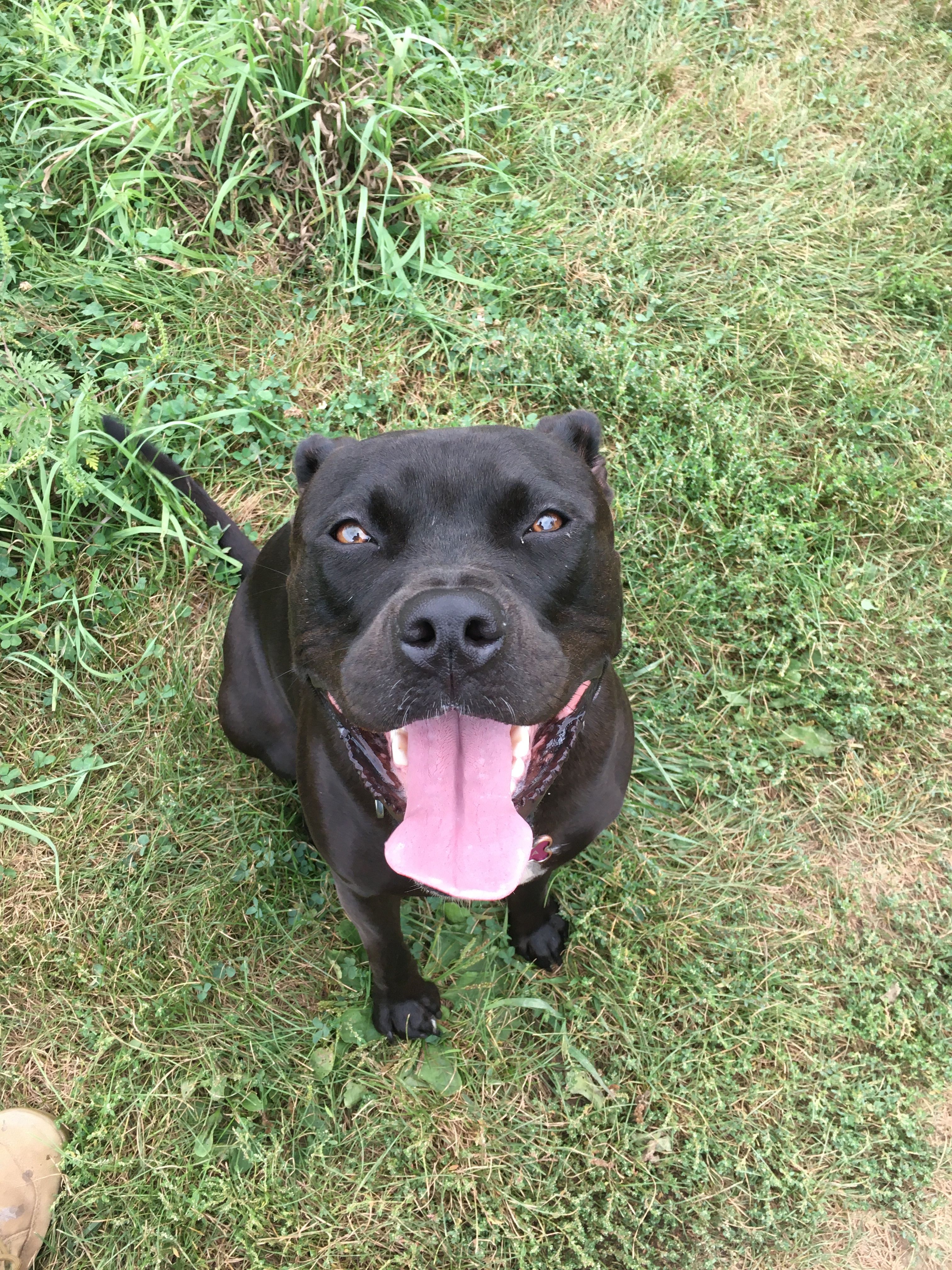 Korra is happy to meet you